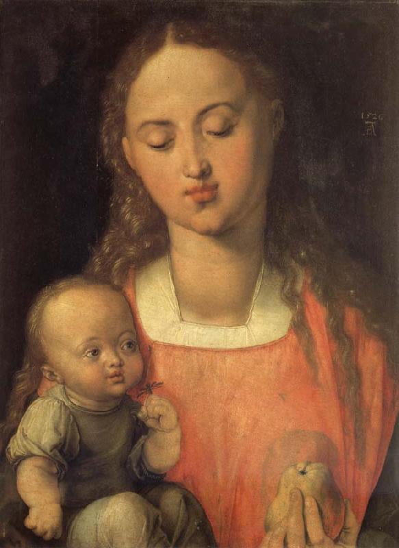 Albrecht Durer The Madonna with the pear oil painting picture